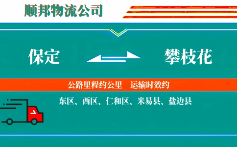 保定到攀枝花物流公司