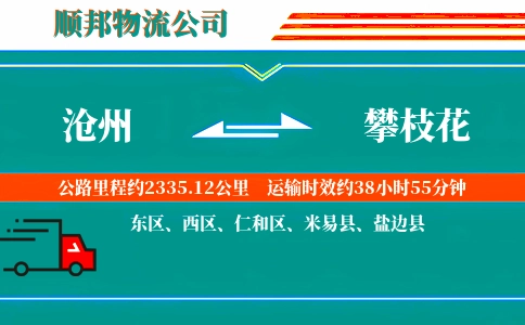 沧州到攀枝花物流公司