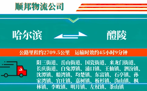 哈尔滨到醴陵物流公司