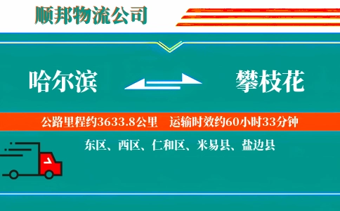 哈尔滨到攀枝花物流公司