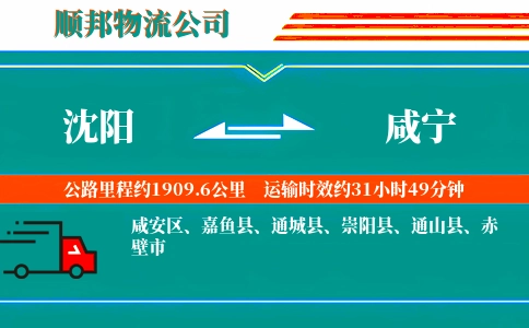 沈阳到咸宁物流公司