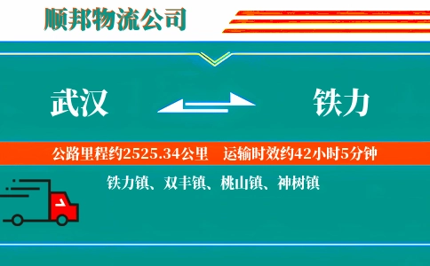 武汉到铁力物流公司